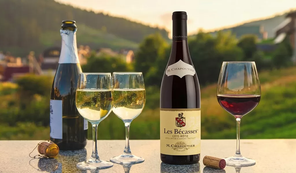 Rượu Vang Đỏ Pháp M.Chapoutier Les Becasses Cote Rotie 2020